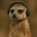 Meerkat-bot