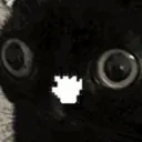 𝕊𝕟𝕠𝕨 𝔽𝕝𝕒𝕜𝕖