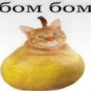 БОМБОМ БОТ
