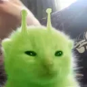 Alien Cat
