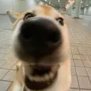 Lost ark Server Status