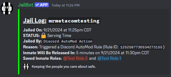 AutoMod Rule Screenshot Example