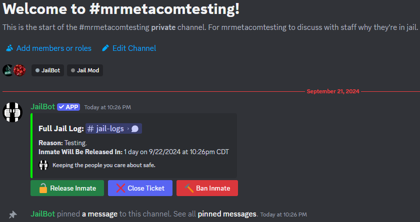 Ticket Channel Summary Message Screenshot Example