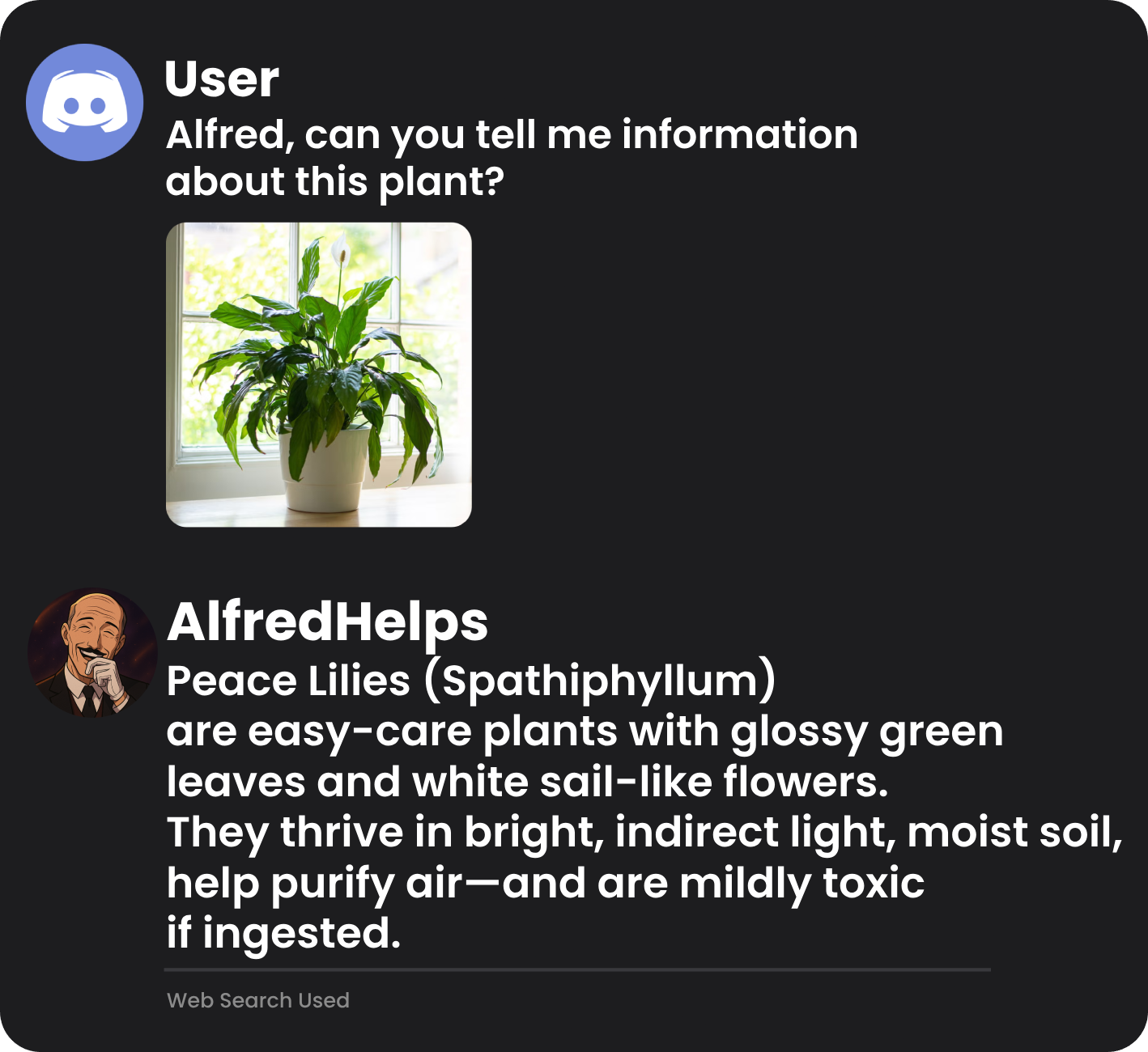 AlfredHelps answering information about an image