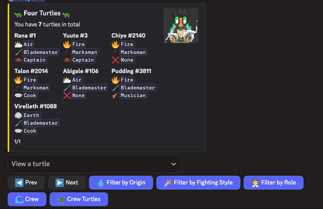 Discord embed showing a list of turtles a player owns