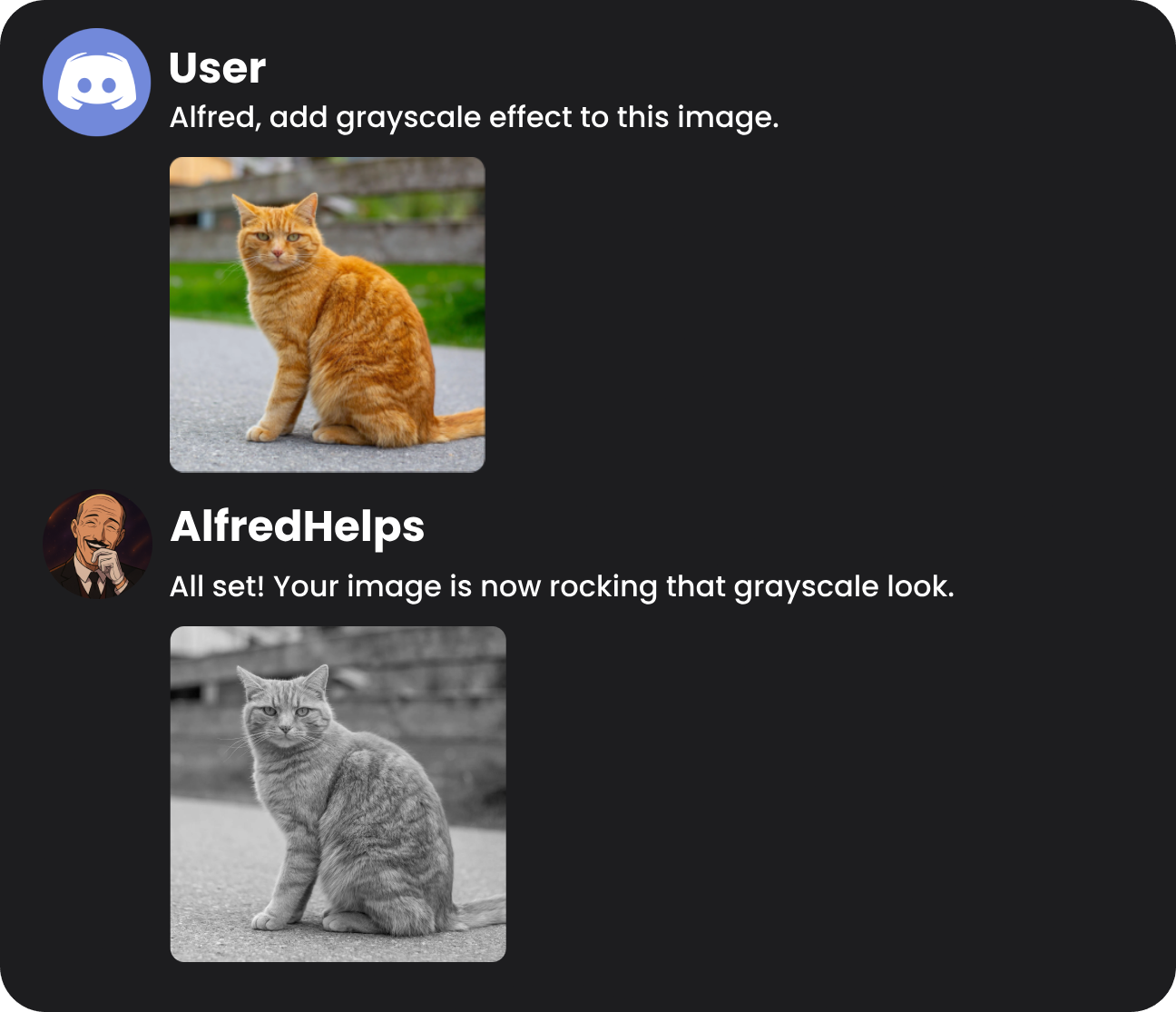 Image of AlfredHelps editing an image