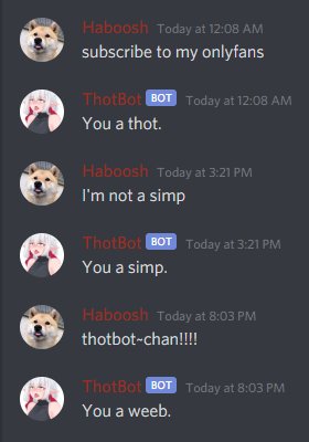 Example Conversation