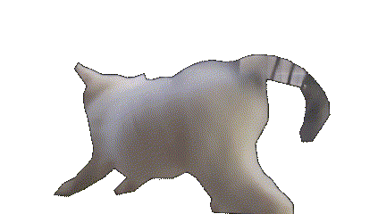 cat twerking